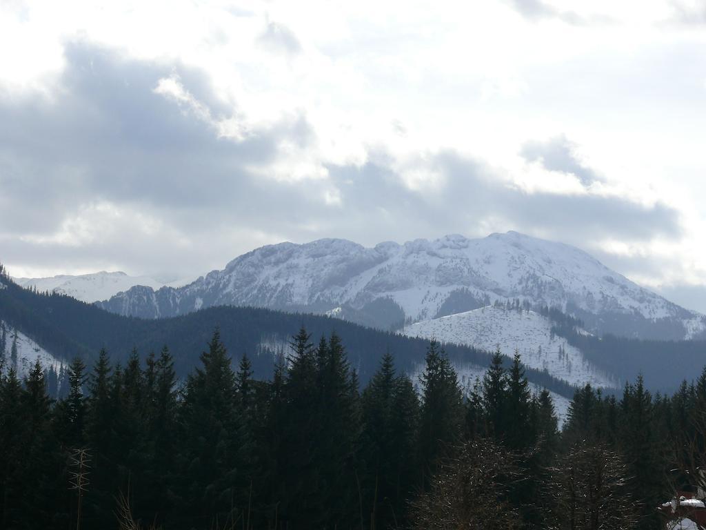Willa Pod Lasem Kościelisko Exteriér fotografie